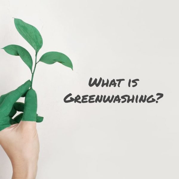 Greenwashing Alert: How to Safeguard Yourself When Shopping for Sustainable Fashion?